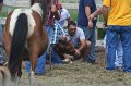 ponypenning_072611_035