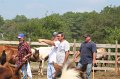 ponypenning_072611_040