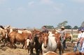 ponypenning_072611_046