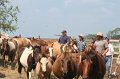 ponypenning_072611_047