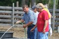 ponypenning_072611_053