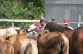 ponypenning_072611_058