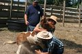 ponypenning_072611_063