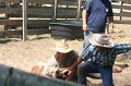 ponypenning_072611_064
