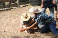 ponypenning_072611_065