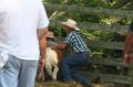 ponypenning_072611_071