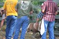 ponypenning_072611_075