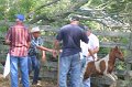ponypenning_072611_076