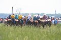 ponypenning_072711_0083