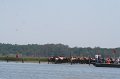 ponypenning_072711_0111