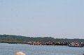ponypenning_072711_0117
