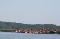 ponypenning_072711_0119