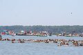ponypenning_072711_0142