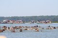 ponypenning_072711_0146