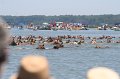 ponypenning_072711_0148