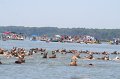 ponypenning_072711_0150