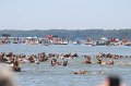 ponypenning_072711_0151