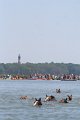 ponypenning_072711_0154