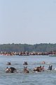 ponypenning_072711_0156