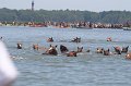 ponypenning_072711_0157