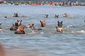 ponypenning_072711_0159