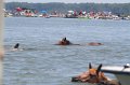 ponypenning_072711_0163