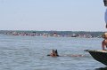ponypenning_072711_0169