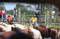 ponypenning_072711_0172