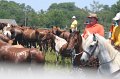 ponypenning_072711_0173
