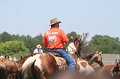 ponypenning_072711_0175