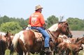 ponypenning_072711_0176