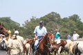 ponypenning_072711_0177