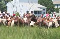 ponypenning_072711_0181
