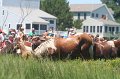 ponypenning_072711_0182