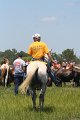 ponypenning_072711_0183