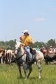 ponypenning_072711_0184