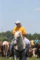 ponypenning_072711_0185