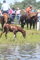 ponypenning_072711_0188