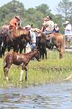 ponypenning_072711_0189