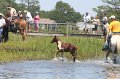 ponypenning_072711_0190