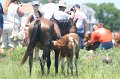 ponypenning_072711_0191