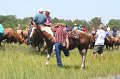 ponypenning_072711_0197