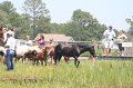 ponypenning_072711_0199