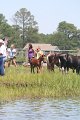 ponypenning_072711_0201