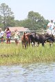 ponypenning_072711_0202