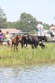 ponypenning_072711_0203