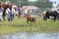 ponypenning_072711_0205