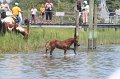 ponypenning_072711_0208