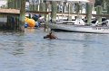 ponypenning_072711_0212