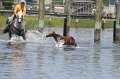 ponypenning_072711_0213